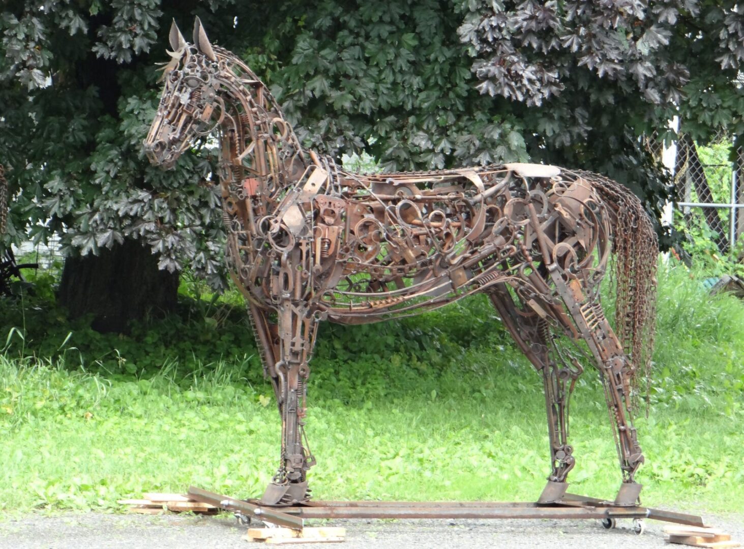 “Contender” By Jenny Horstman On Display At Holiday Inn, Saratoga