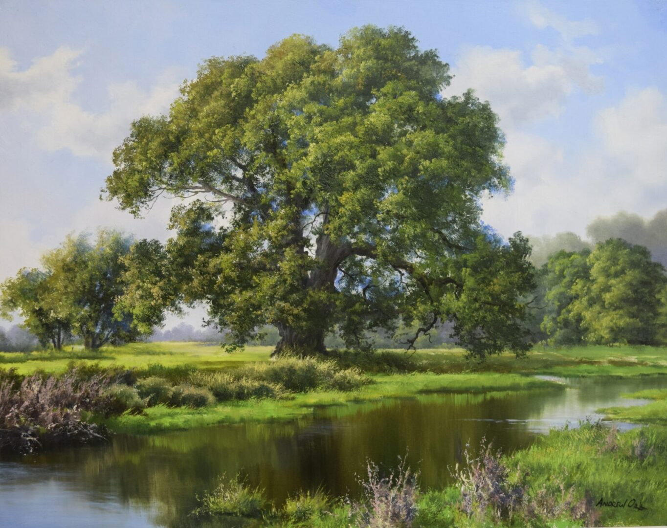 VERMONT IN LEAF – BY ANDREW ORR