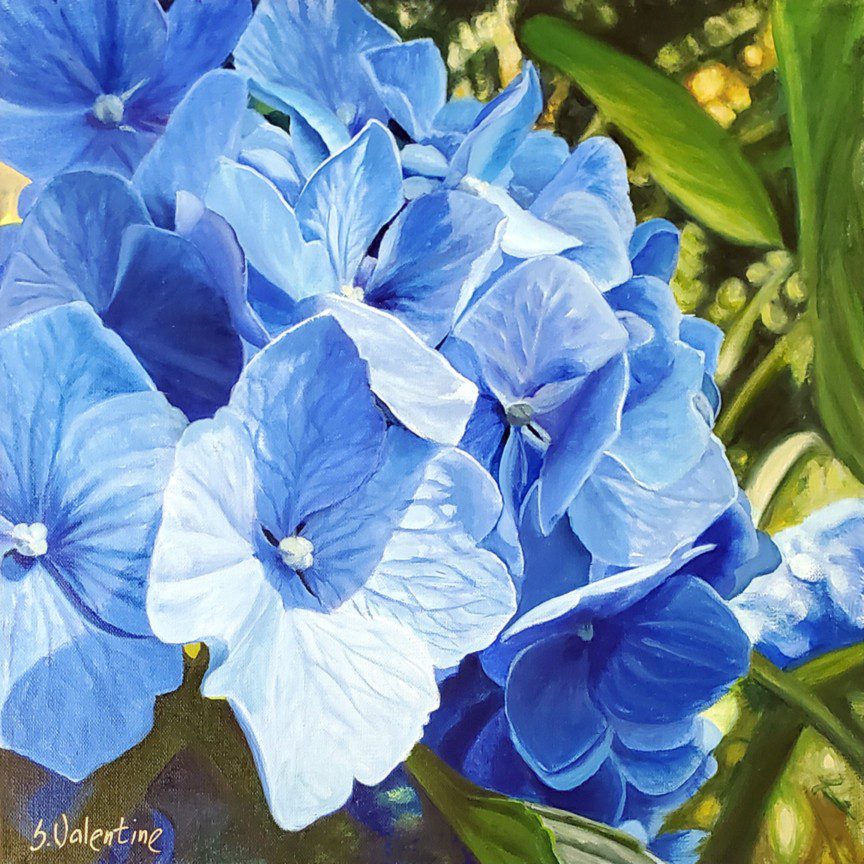 TODAY SUSAN VALENTINE